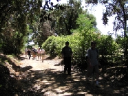P&eacute;lerinage des p&egrave;res 2003 - Les marcheurs