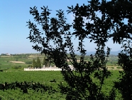 P&eacute;lerinage des p&egrave;res 2003 - Vue de St Joseph 2